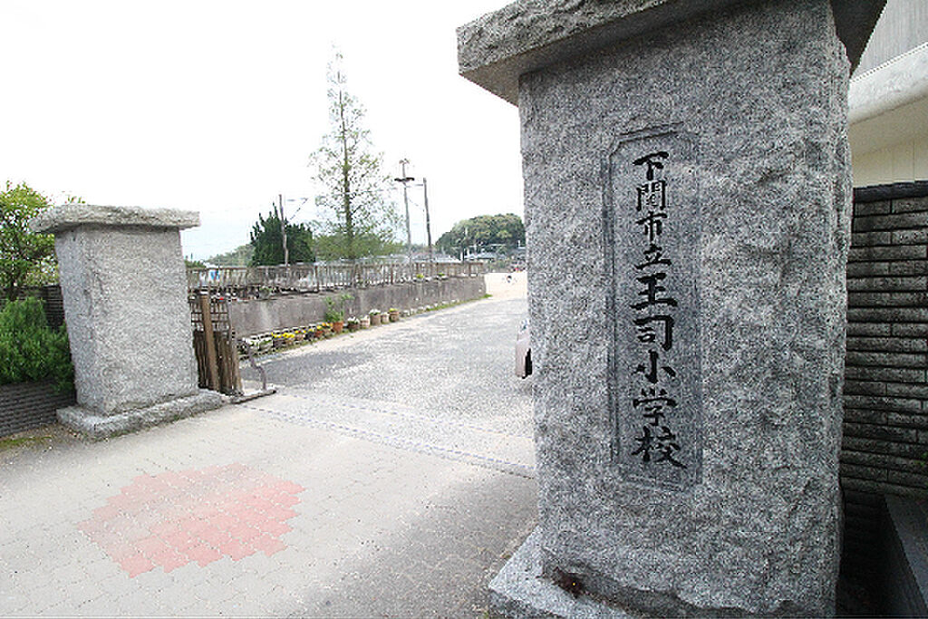 Image 8