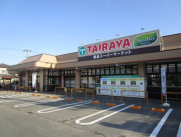 画像16:【スーパー】ワッツウィズ川島TAIRAYA店まで6891ｍ