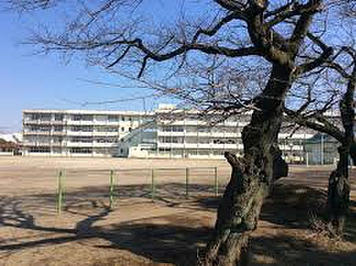 画像22:【中学校】土浦市立第三中学校まで485ｍ