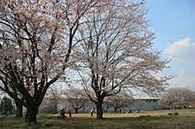 コーポ来夢　Ｃ 203号室 ｜ 茨城県土浦市中貫1879-5（賃貸アパート1K・2階・27.08㎡） その8