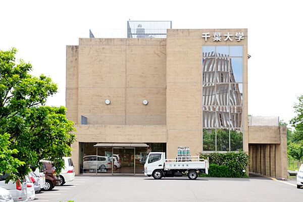 ライオンズ柏たなかステーションプラザ