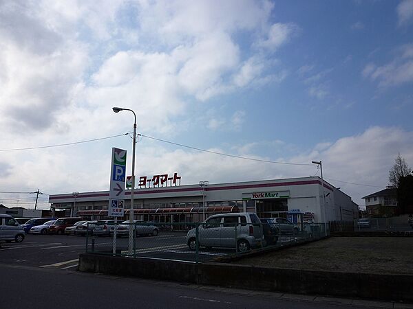 パルムI