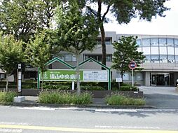オモト