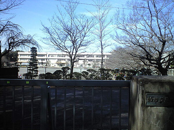 コンフォートA