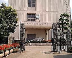 【小学校】流山市立 流山北小学校まで793ｍ