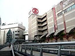 【デパート】柏高島屋ステーションモールまで1047ｍ
