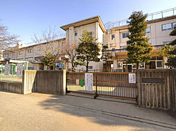 【小学校】柏市立 松葉第二小学校まで695ｍ