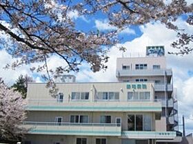 徳島県徳島市八万町弐丈（賃貸マンション1LDK・4階・42.00㎡） その18