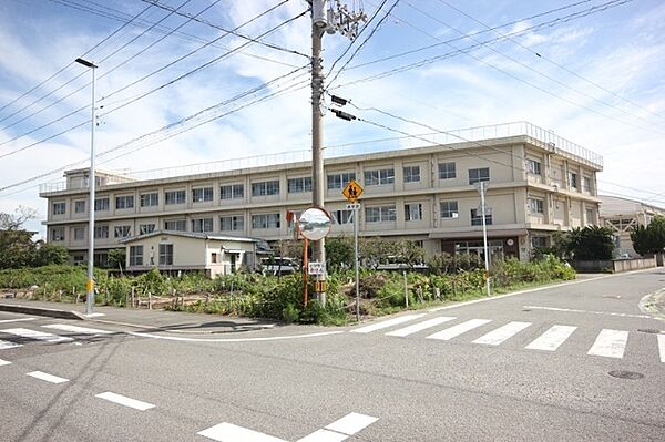 画像18:小学校「小松島市立新開小学校まで816m」