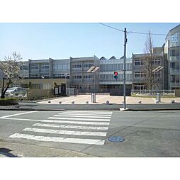 Elegante(エレガンテ)