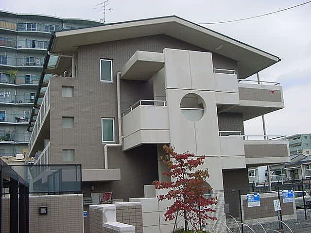 5 / 6