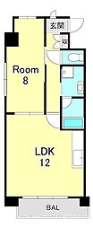 ラフィール 1LDKの間取図画像