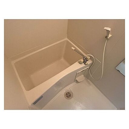 サープラスワンアカハネ_その他_1