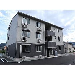 オーキッド