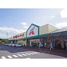 スーパー「A・コープファーマーズうえだ店まで1428ｍ」