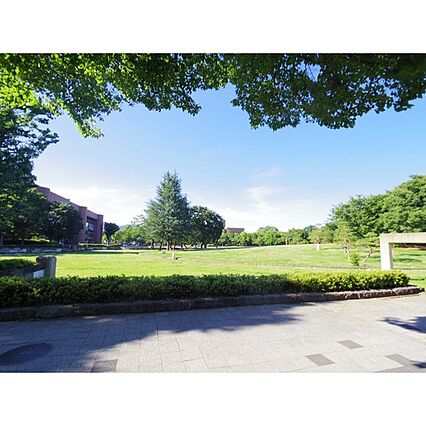 メゾンあら木_周辺_0