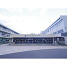 小学校「長野市立朝陽小学校まで355ｍ」学区はご確認ください
