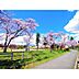 周辺：公園「運動公園南緑地まで1142m」