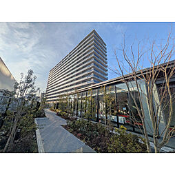 ヴェリテ金剛ルネクロスサイト(0005376)