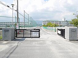 ロワイヤルアイランド織島IV