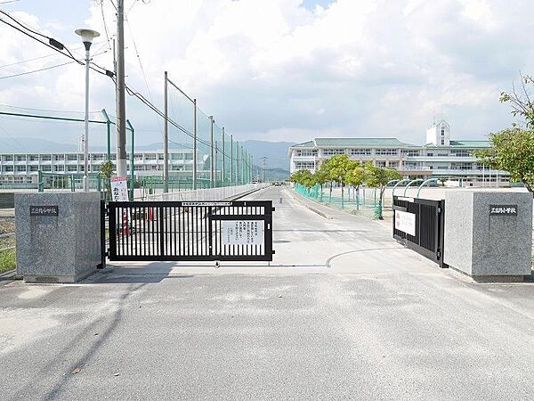 ロワイヤルアイランド織島IV