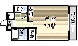 ドール新栄 5階/-