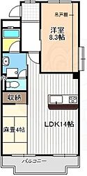 東和ハイツ 1階/-