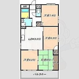 グランデ松蔭 4階/-