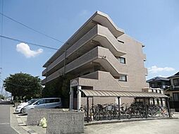 メゾンウィング 2階/-