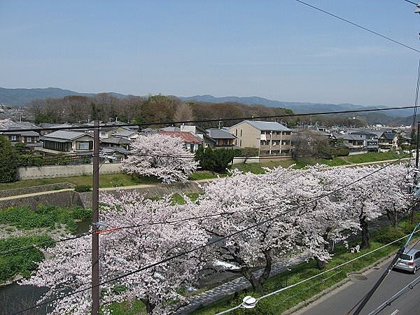 ハイツ賀茂II 217｜京都府京都市左京区田中上柳町(賃貸マンション1R・2階・16.00㎡)の写真 その26