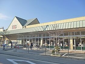 セシール太秦  ｜ 京都府京都市右京区太秦宮ノ前町（賃貸マンション1DK・3階・20.00㎡） その20