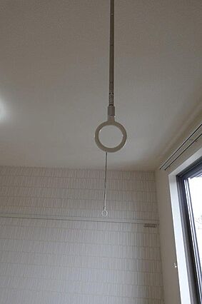 オリーブ_その他_1