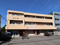 ハイランドパレス 3階/-