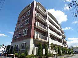 ルネ　シェスタ