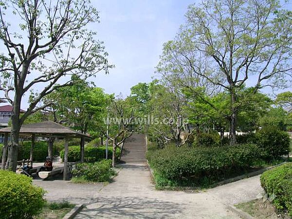 周辺を拡大表示