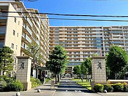 ルネ・アクシアム