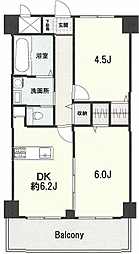 ドルミ錦糸町長谷川ビル 2DKの間取図画像