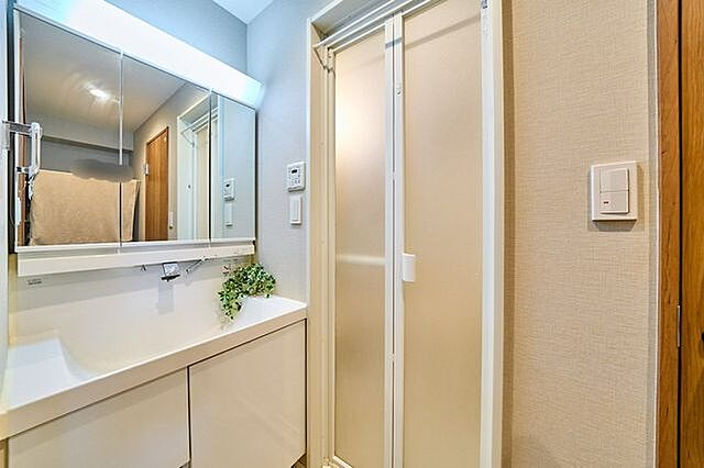 洗面 小岩柴又通コーポビアネーズ 7階/-