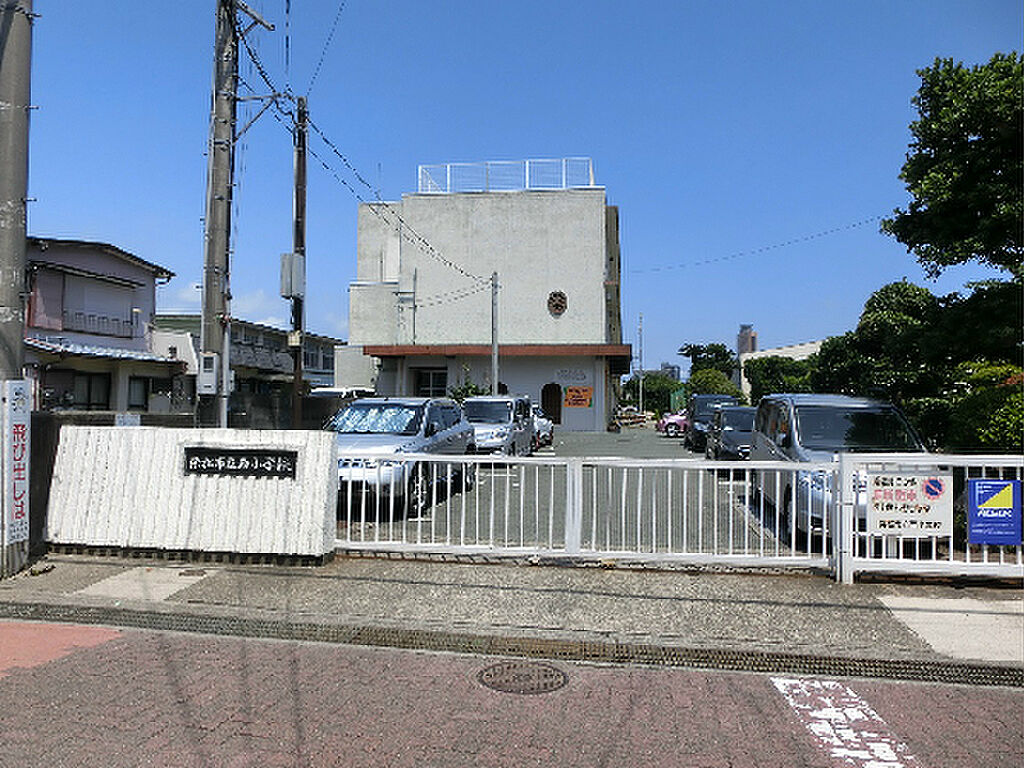 Image 6