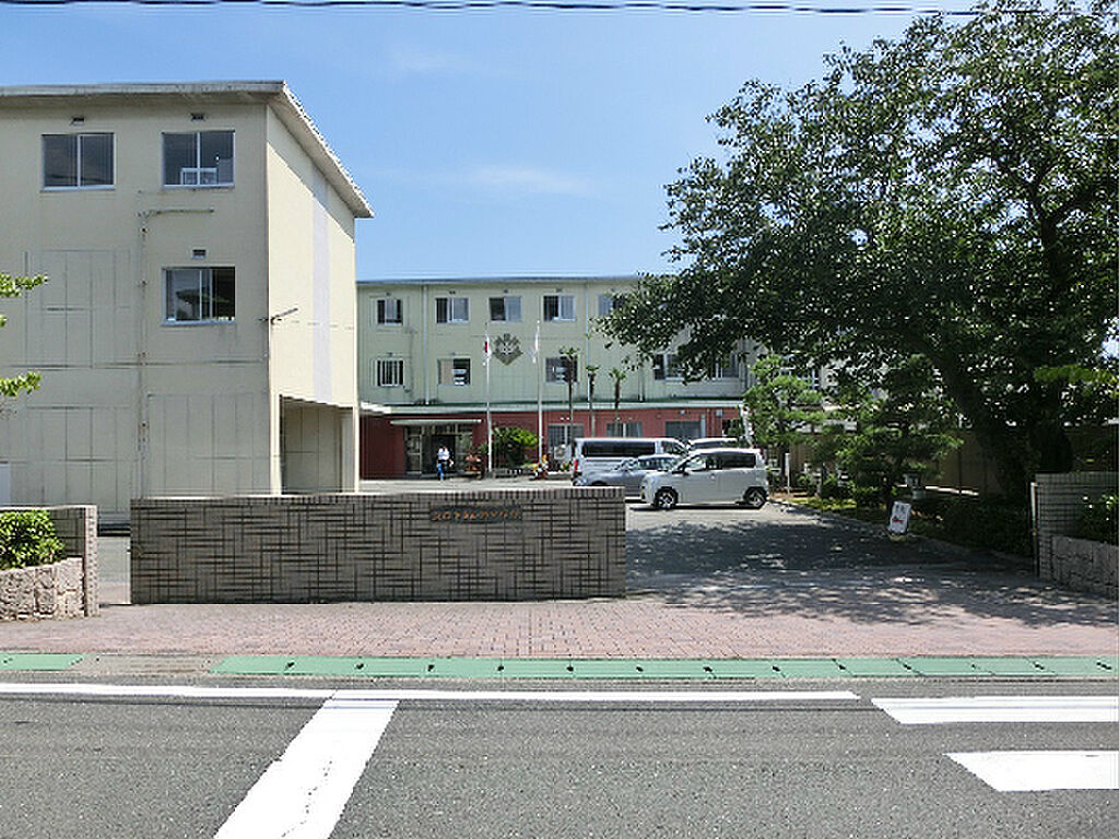 Image 7