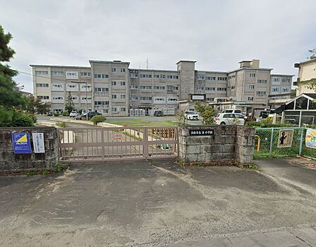 浜松市立泉小学校(553m)