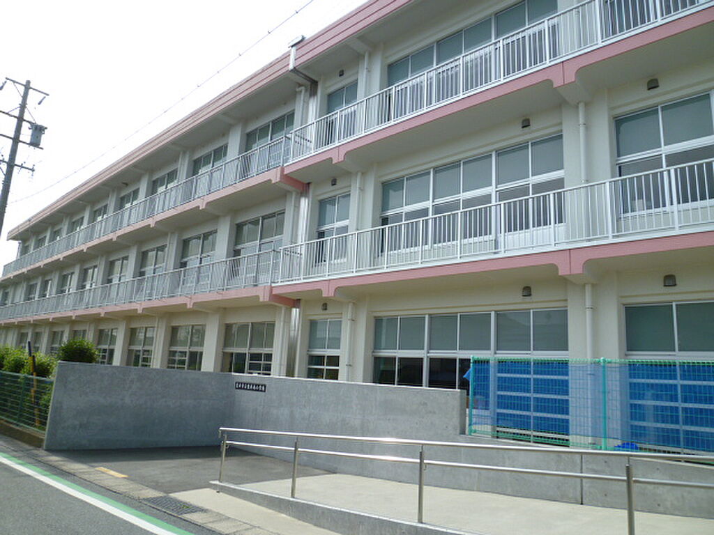 Image 8