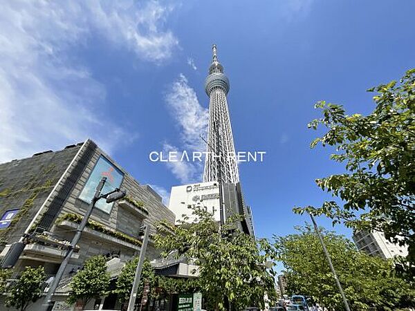 アーバンパーク押上 303｜東京都墨田区向島3丁目(賃貸マンション1DK・3階・25.81㎡)の写真 その19