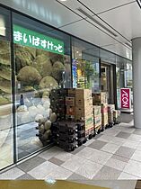 スカイコートグランメゾン御殿山  ｜ 東京都品川区北品川5丁目18-19（賃貸マンション1LDK・4階・43.39㎡） その27