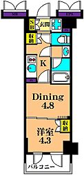 パークアクシス品川南大井パークフロント 1DKの間取図画像
