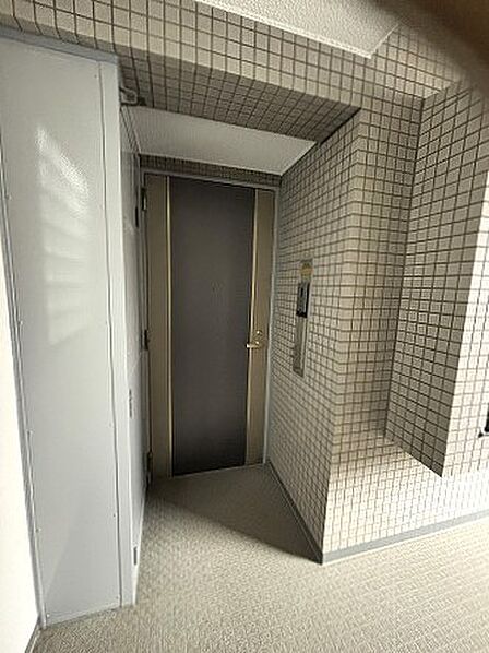 住まう方を優しく迎え入れる、落ち着きと静寂を感じさせるエントランス周りの佇まいです。