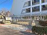 周辺：足立区立六月中学校（170m）