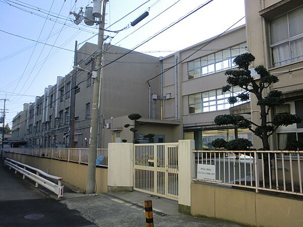 画像15:【小学校】大阪市立 加島小学校まで284ｍ