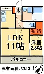 アドバンス 203