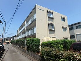 楠の台ハイツ 101 ｜ 静岡県田方郡函南町仁田766-1（賃貸マンション1LDK・1階・44.83㎡） その1